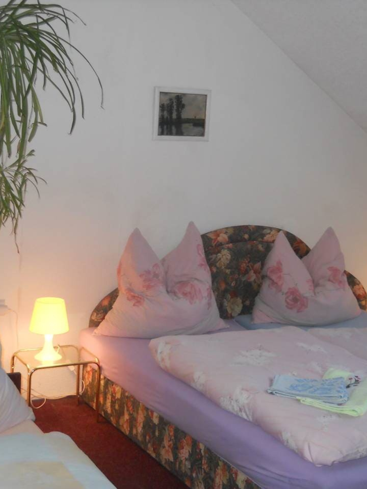 Ubytování v Kolíně - Pension Modrý bod